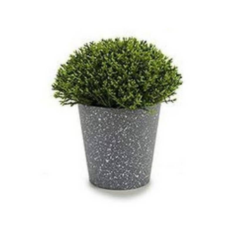 Potted Mini Flowers Grey Dots