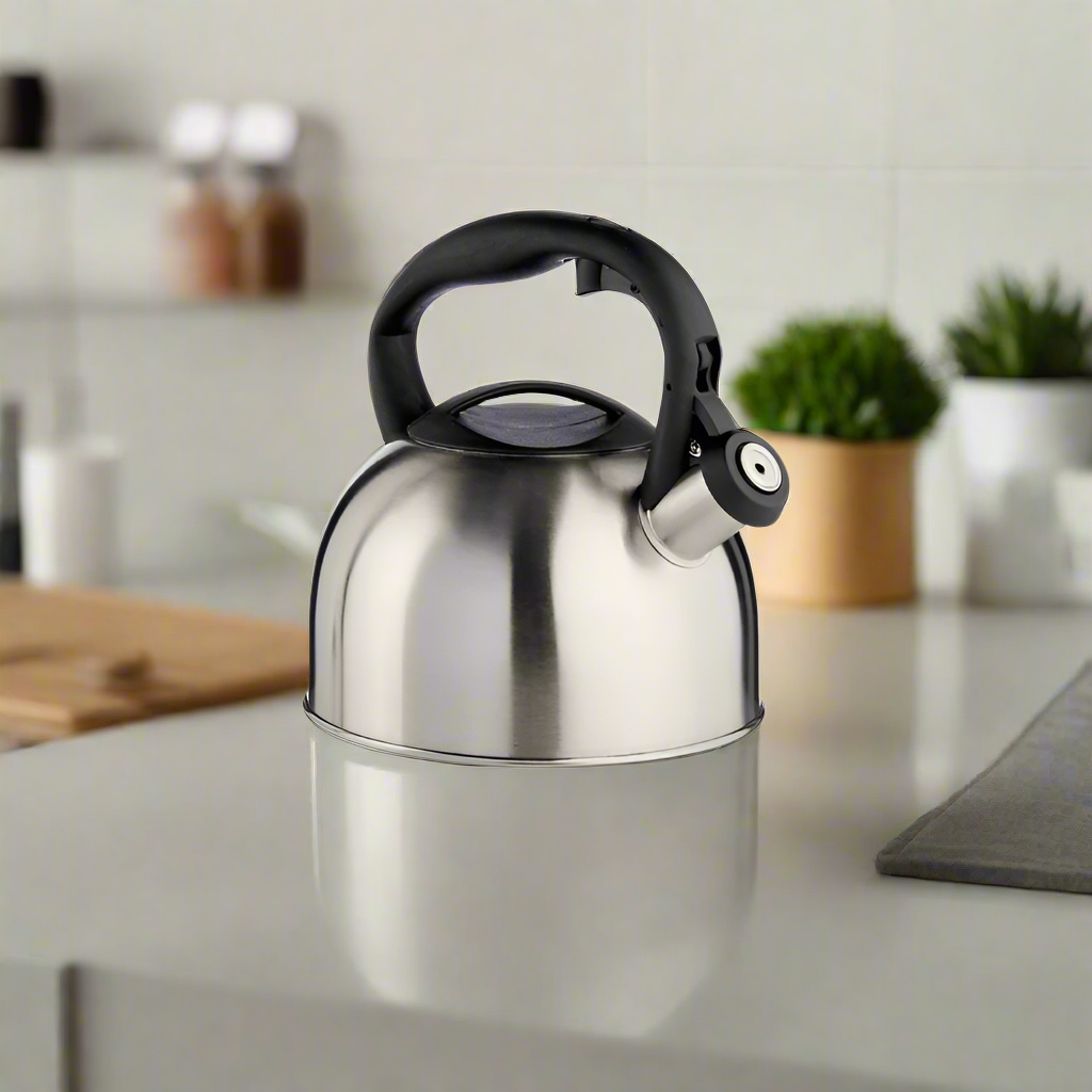 Stainless Steel Kettle Plastic Handle 2.5Ltr
