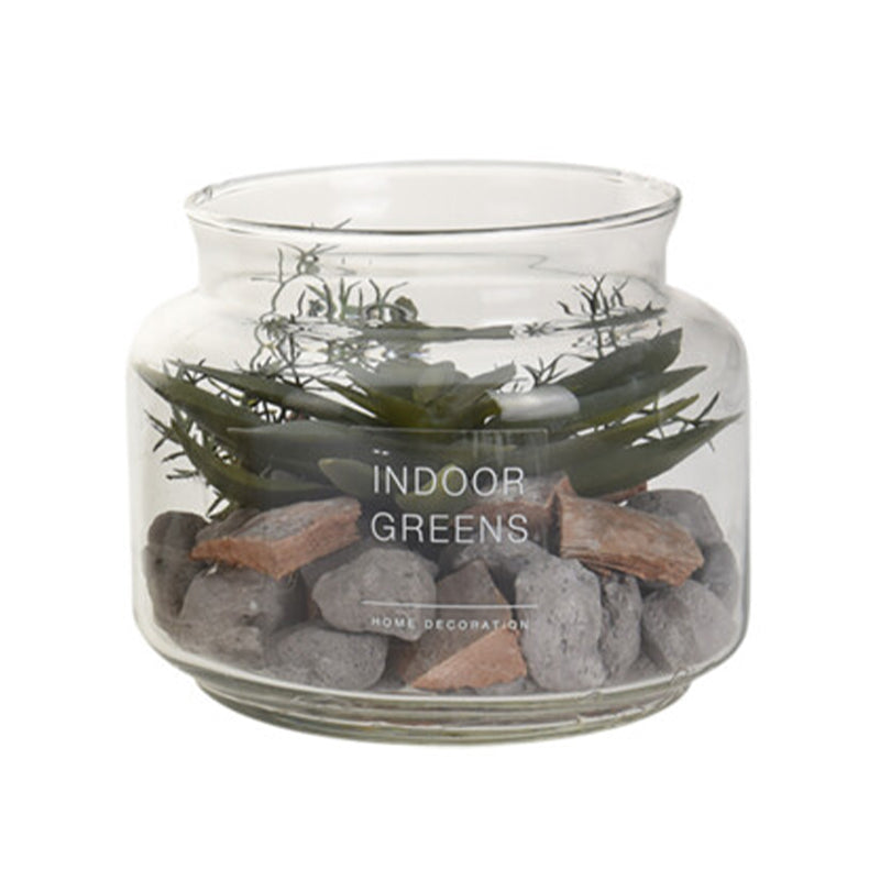 Succulent Plant in Glass Pot