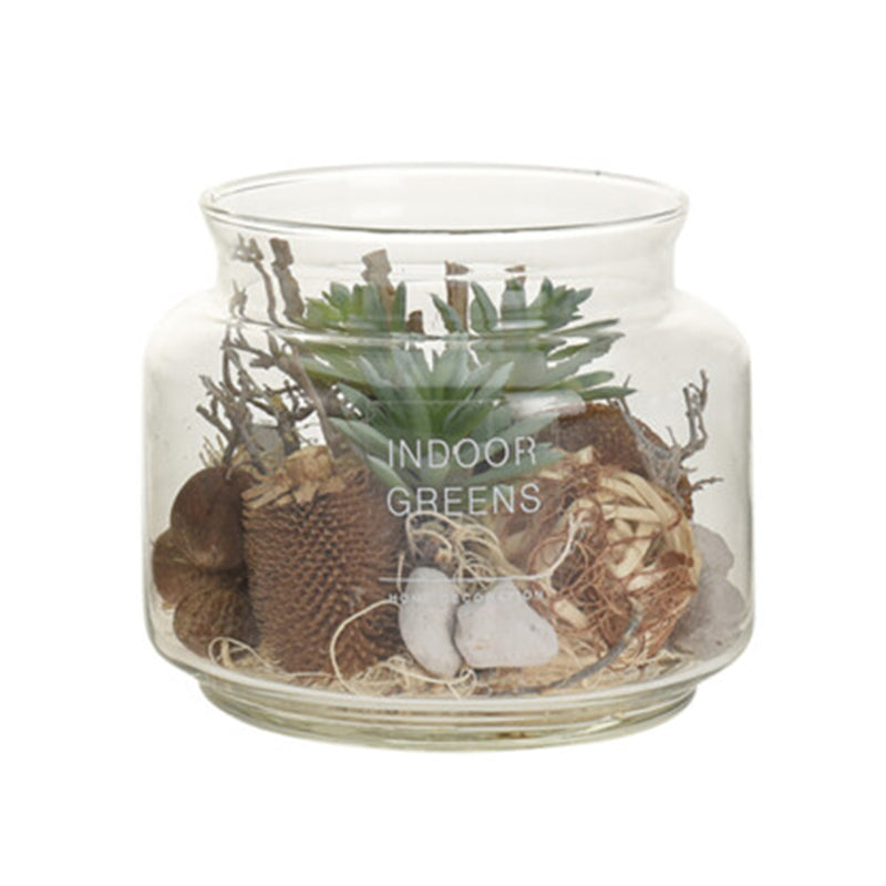 Succulent Plant in Glass Pot