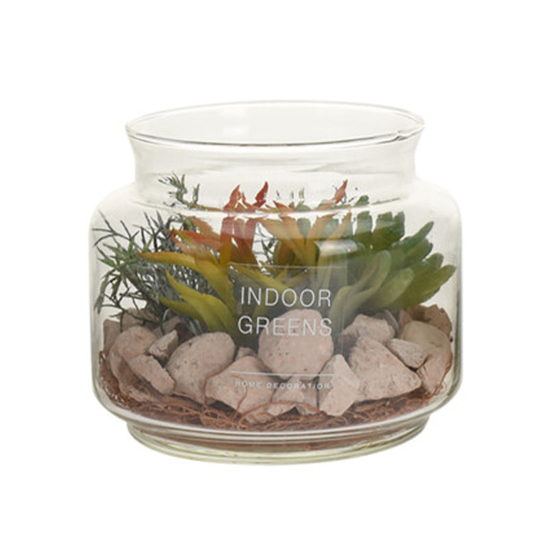 Succulent Plant in Glass Pot