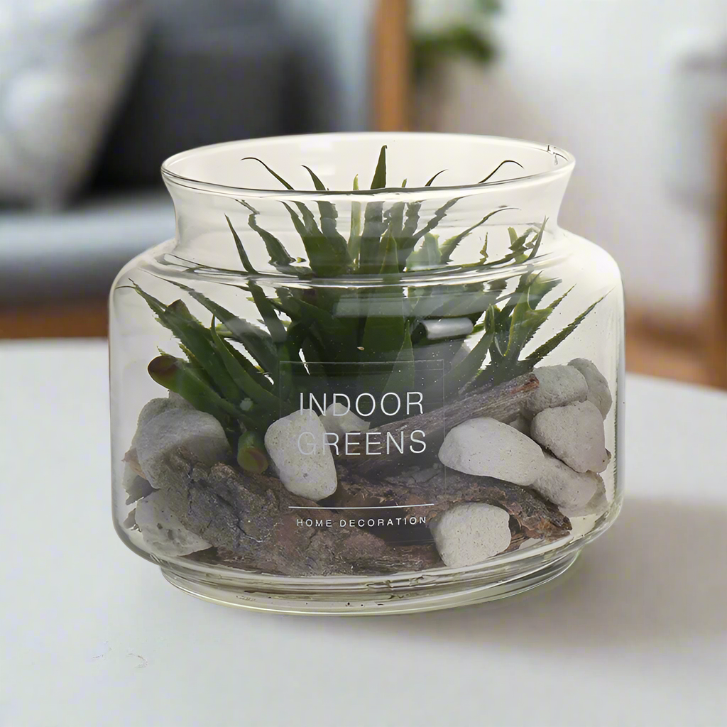 Succulent Plant in Glass Pot