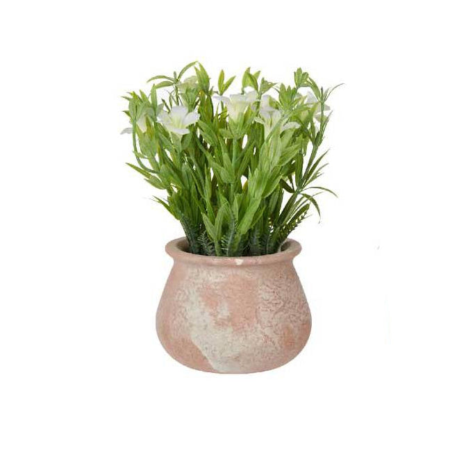 Terracotta Pot With Flowers Low Assort 3 Colors