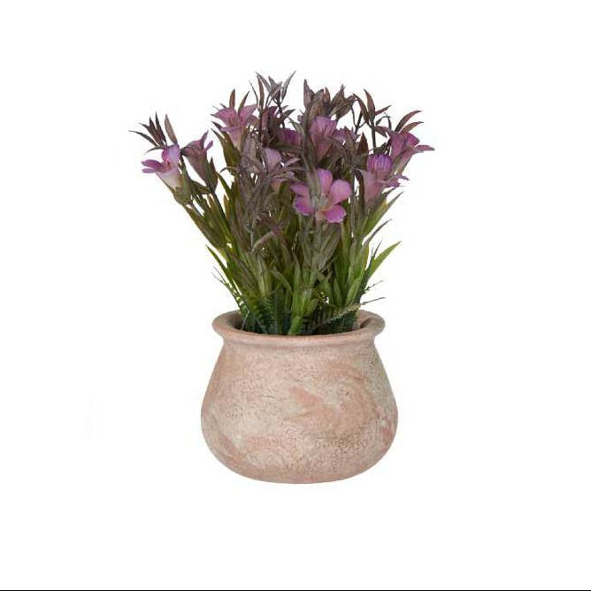 Terracotta Pot With Flowers Low Assort 3 Colors
