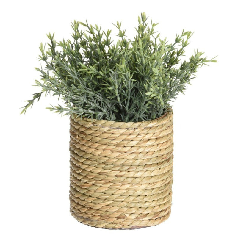 Artificial Plant In Pot