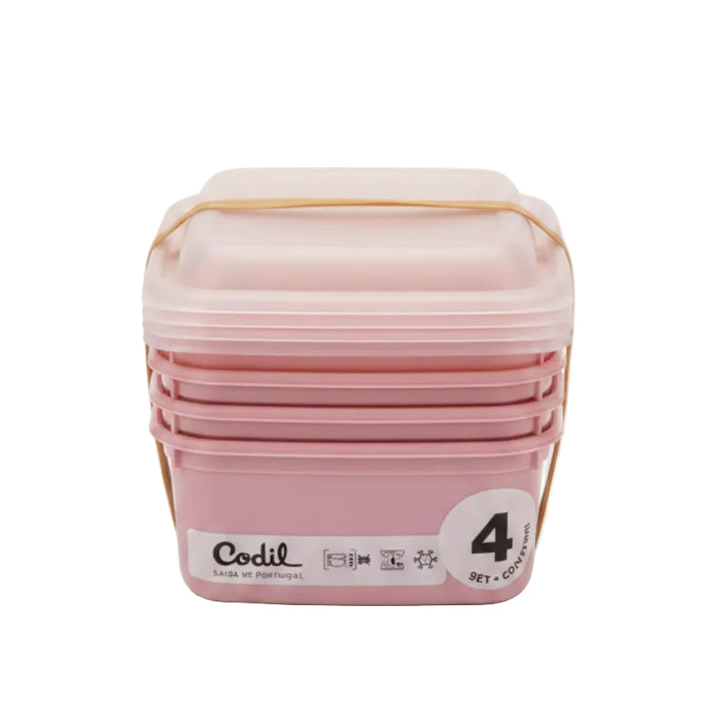 Plastic Lunch Box 2Ltr (Set of 4) (Made in Portugal)