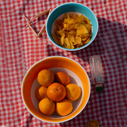 Plastic Aqua Bowl Large 4.5L