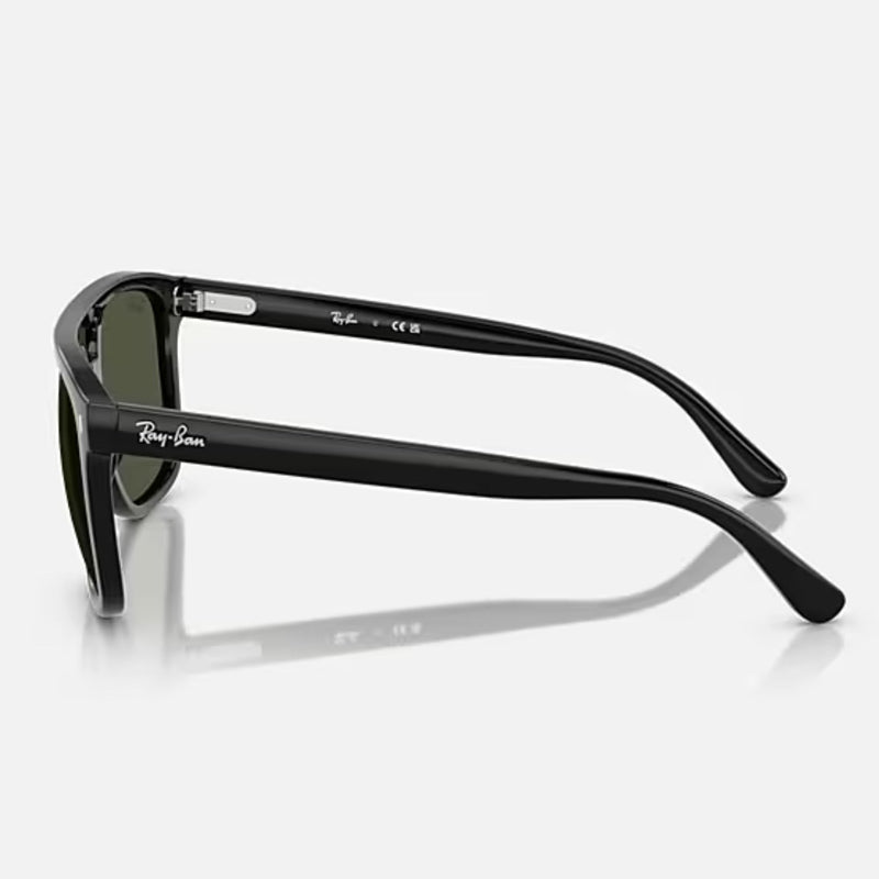 Ray-Ban Sunglass Black RB2213