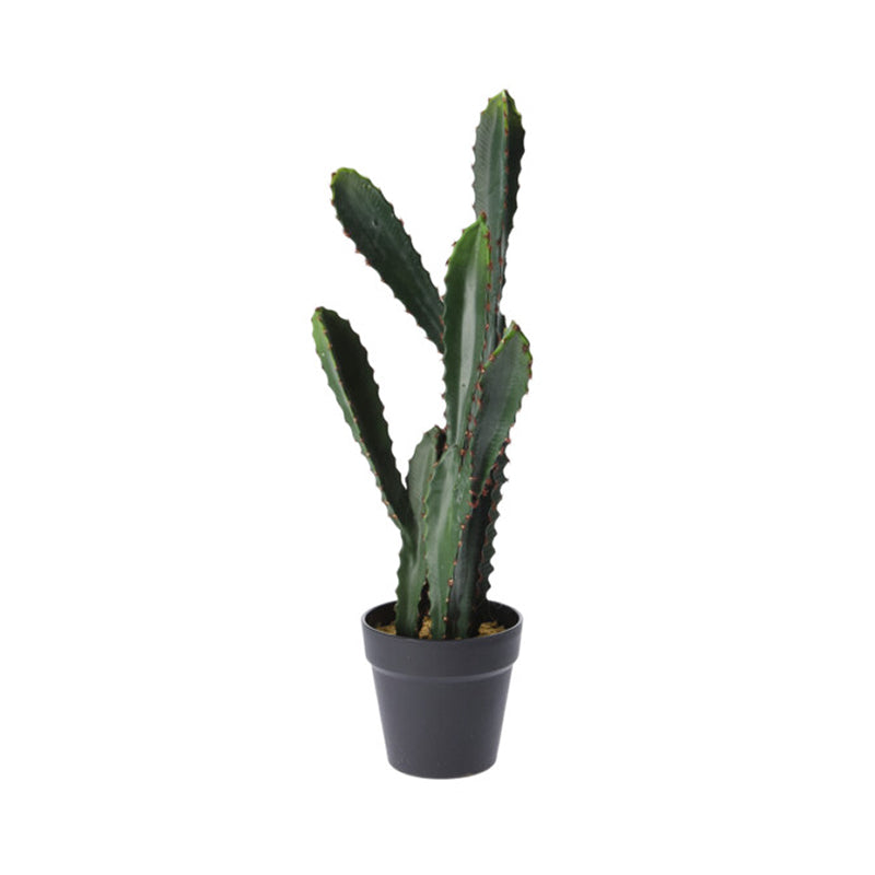 neon sign cactus Spiky Cactus Icon LED Neon Sign main image 0