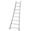 Single Ladder 8 Steps
