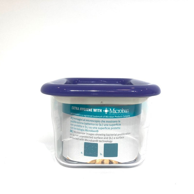 Anti Bacterial Container 450ml