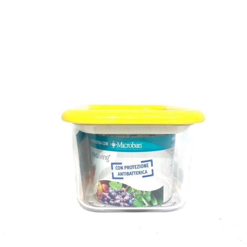 Anti Bacterial Container 450ml