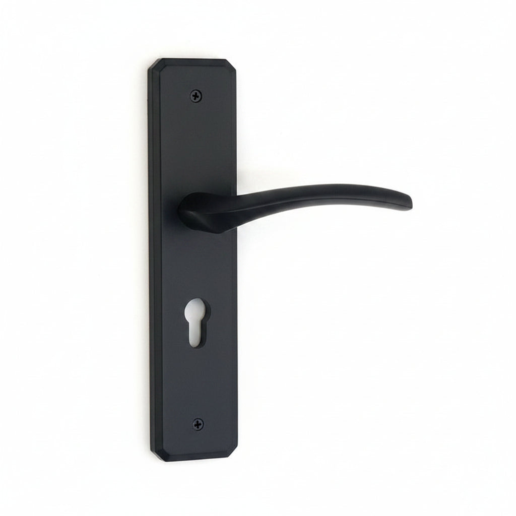 Black Door Handle with Lock & Cylinder