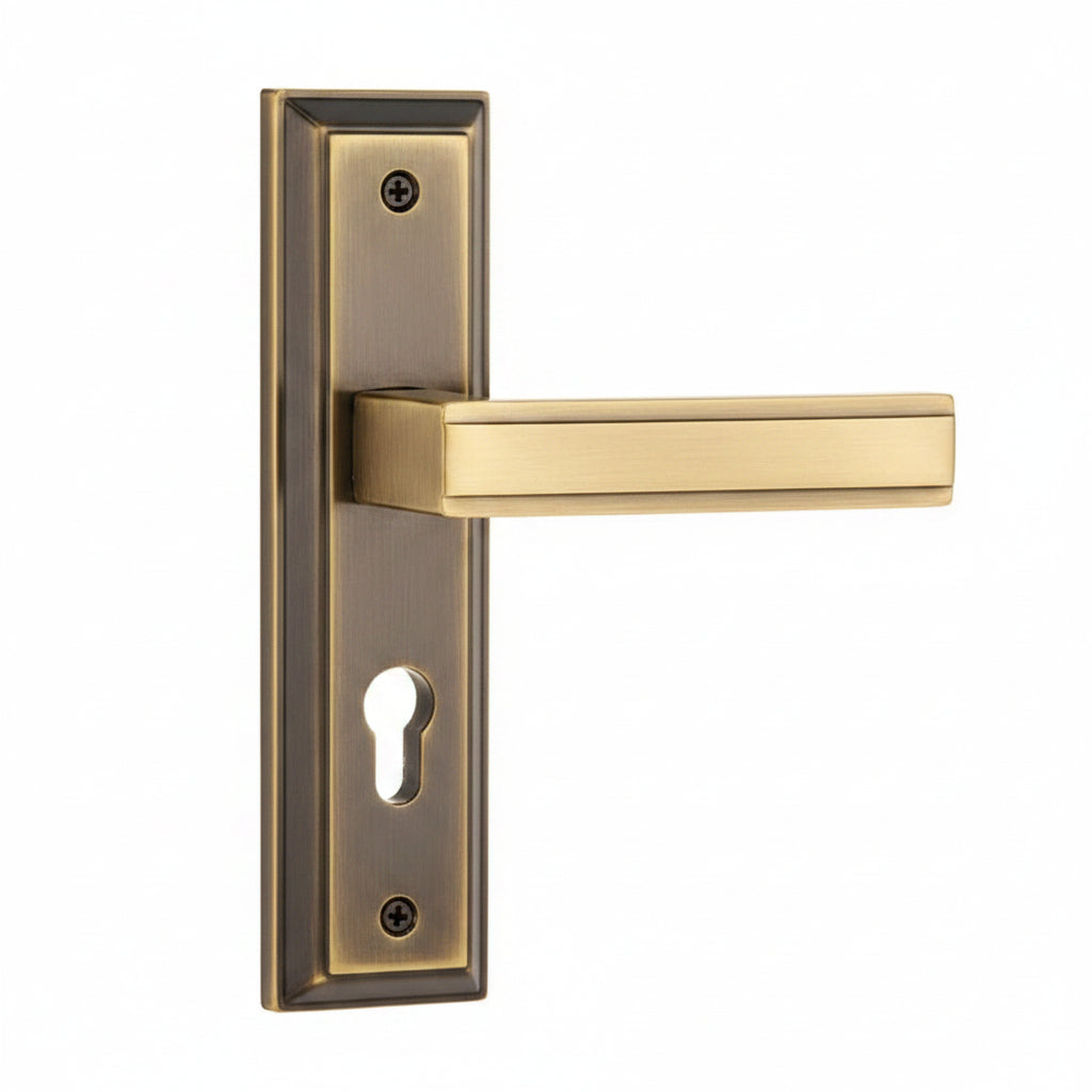 Door Handle with Lock & Cylinder