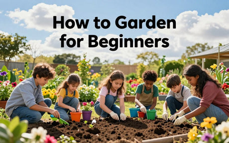 how to garden for beginners