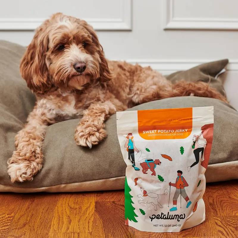 Dog Food Offer