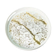 Acrylic Round Serving Tray White & Gold Marble