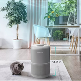 Levoit Core P350 Pet Care Air Purifier