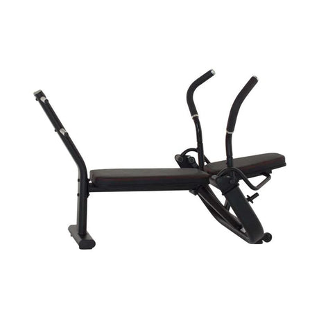 AB Crunch Bench Acbi