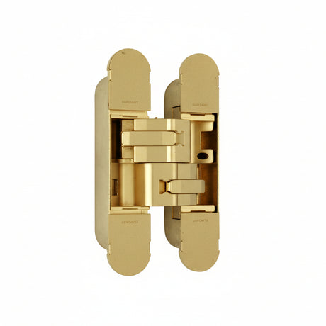 3D Concealed Hinge 29 x 160mm SB