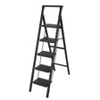 5 Step Iron/Steel Ladder