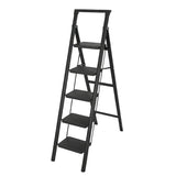 5 Step Iron/Steel Ladder