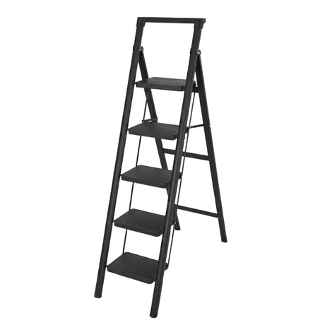 5 Step Iron/Steel Ladder