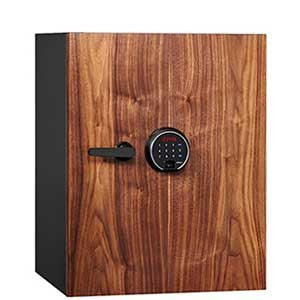 Diplomat Dbaum Premium Fireproof Safe