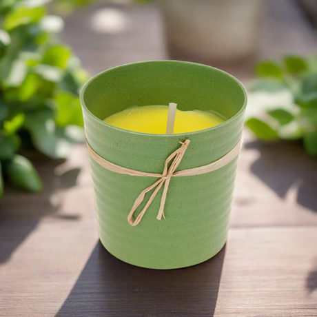 Citronella Candle In Eco Pot
