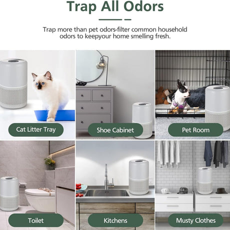 Levoit Core P350 Pet Care Replacement Filter