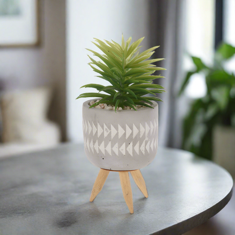 Plant In Pot Cement