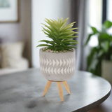 Plant In Pot Cement
