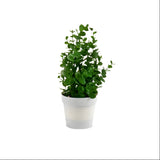 Bush With Plant White Flowerpot