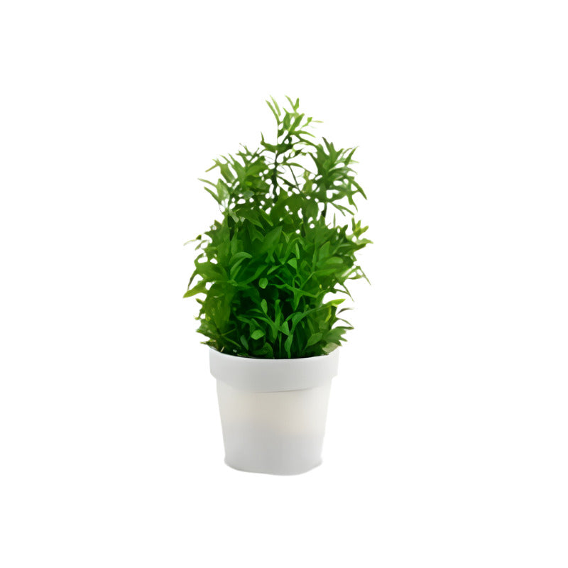 Bush With Plant White Flowerpot