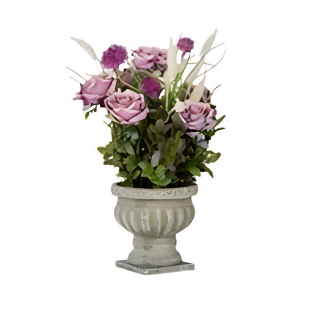 Cement Cup Roses Large Assort 3 Colors