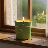 Citronella Candle In Eco Pot