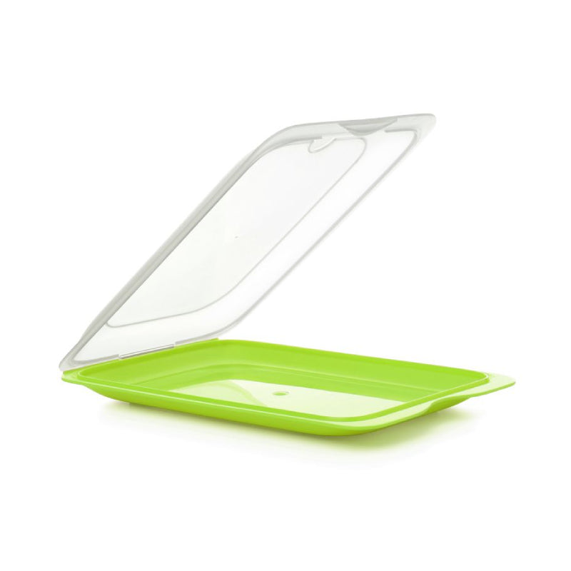 Cold Cuts Container Green