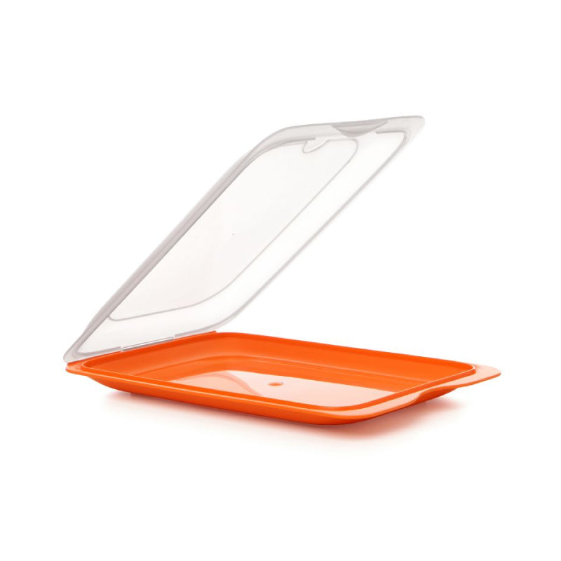 Cold Cuts Container Orange
