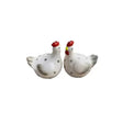 Ceramic Salt And Pepper Shaker