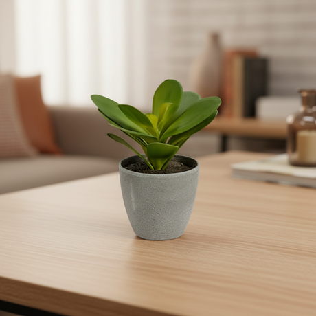 Decorative Pot Plant Full Round