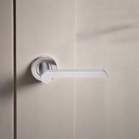 Lever on Rose Handle with Escutcheon
