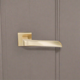 Lever Handle on Rose With Escutheons