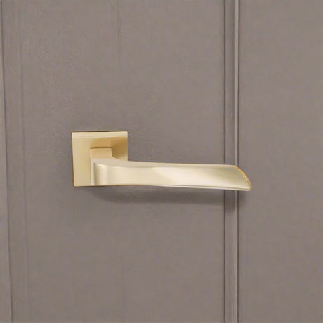 Lever Handle on Rose With Escutheons