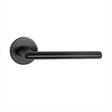 Lever Handle on Rose With Escutheons
