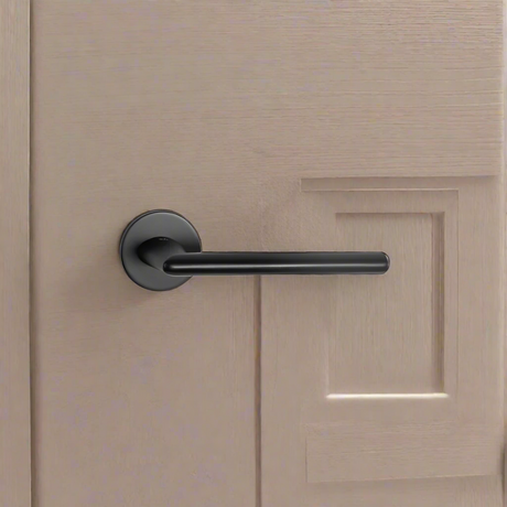 Lever Handle on Rose With Escutheons