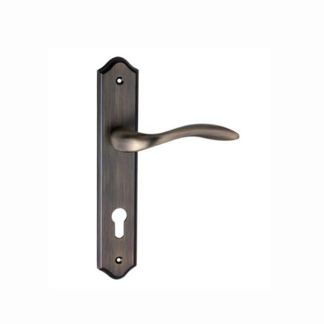 EuroArt Lever on Rose and Lever Handle on Plate