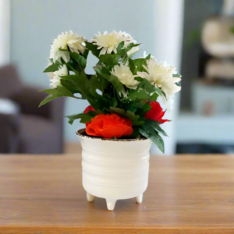 Orchid in Pot Arrangement