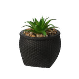 Faux Plant In Cement Pot