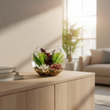 Glass Vase Jumbo Diam 23cm