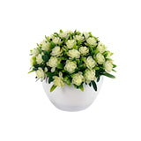 Flower Plant Clover Mix 4 Colors